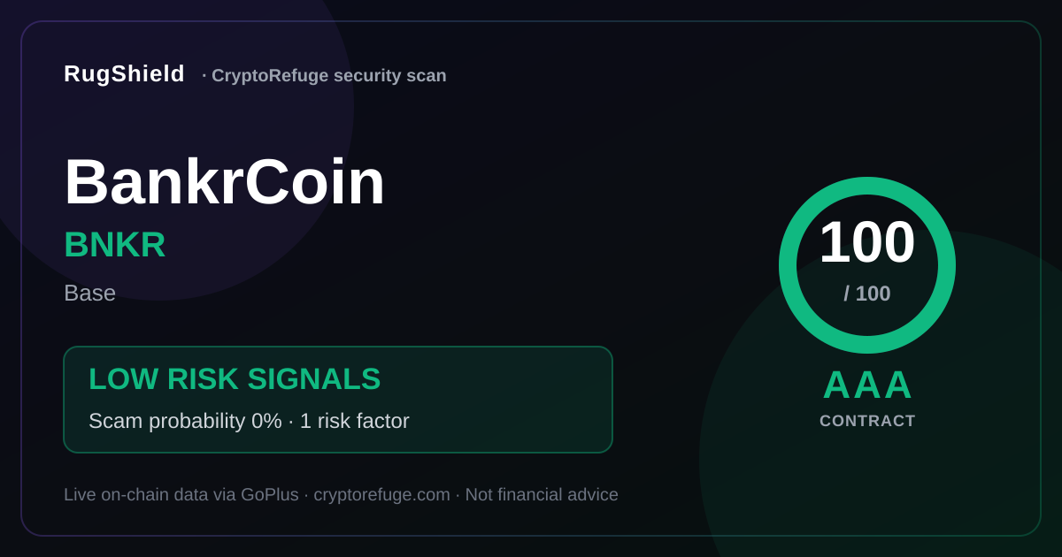 Is BNKR Safe? BankrCoin Security Scan