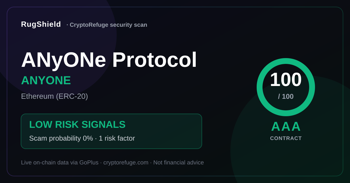 Is ANYONE Safe? Our Security Scan of ANyONe Protocol